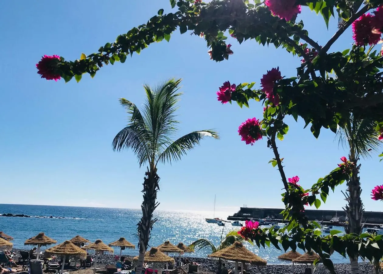Appartamento Balcon Del Mar - Playa San Juan Guía de Isora Spagna